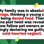 When a Parenting Crisis Is Actually a Hilarious Case of Feline Drama
